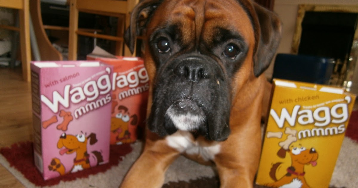 This is me Sarah mum of 3 Wagg MMM's Tasty Treats