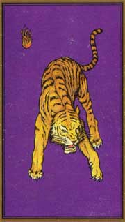 Tarot Persia Madame Indira: El Tigre