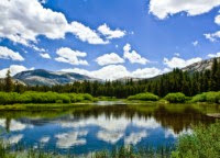 Инвестиции в ПАММ-счета. Итоги 112-й недели инвестирования