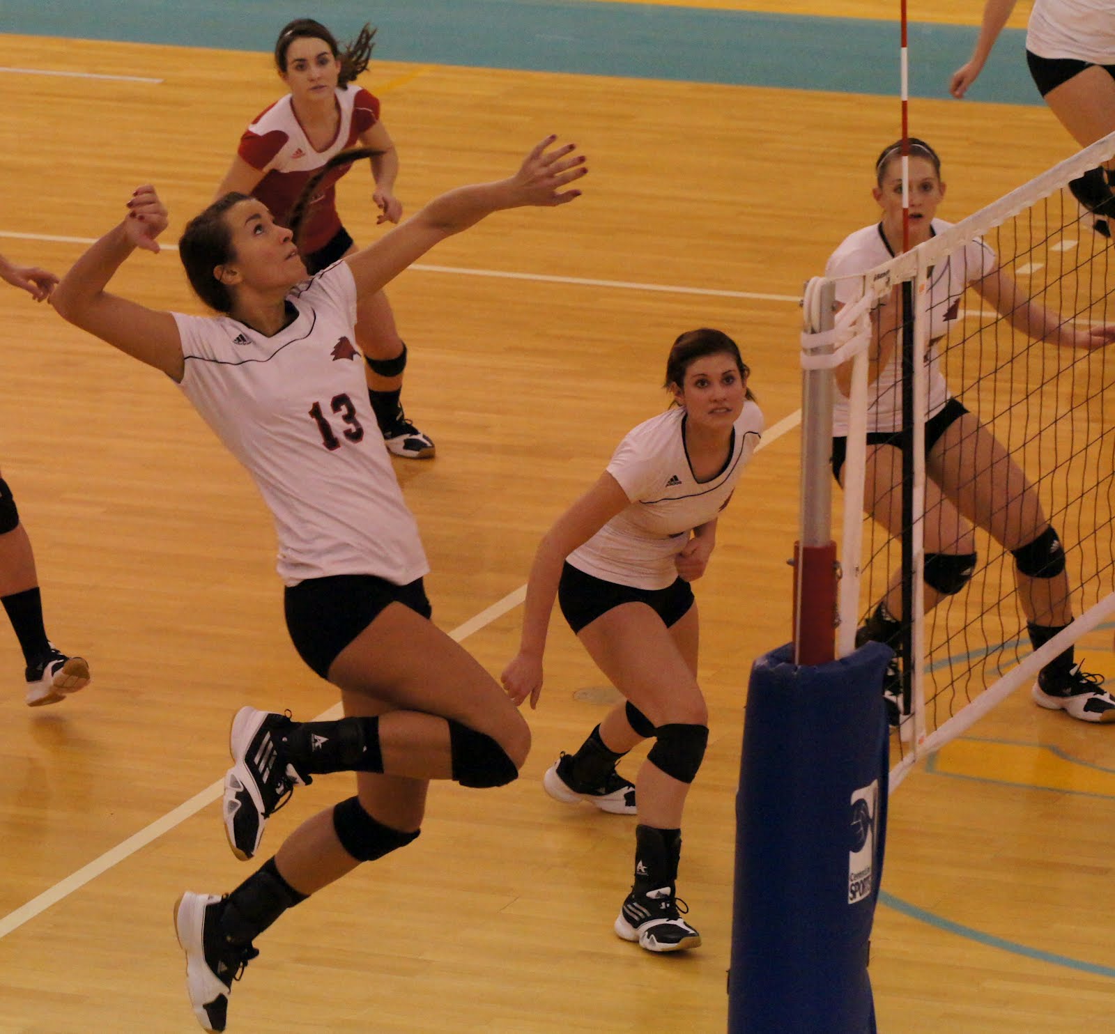 allen allen volleyball