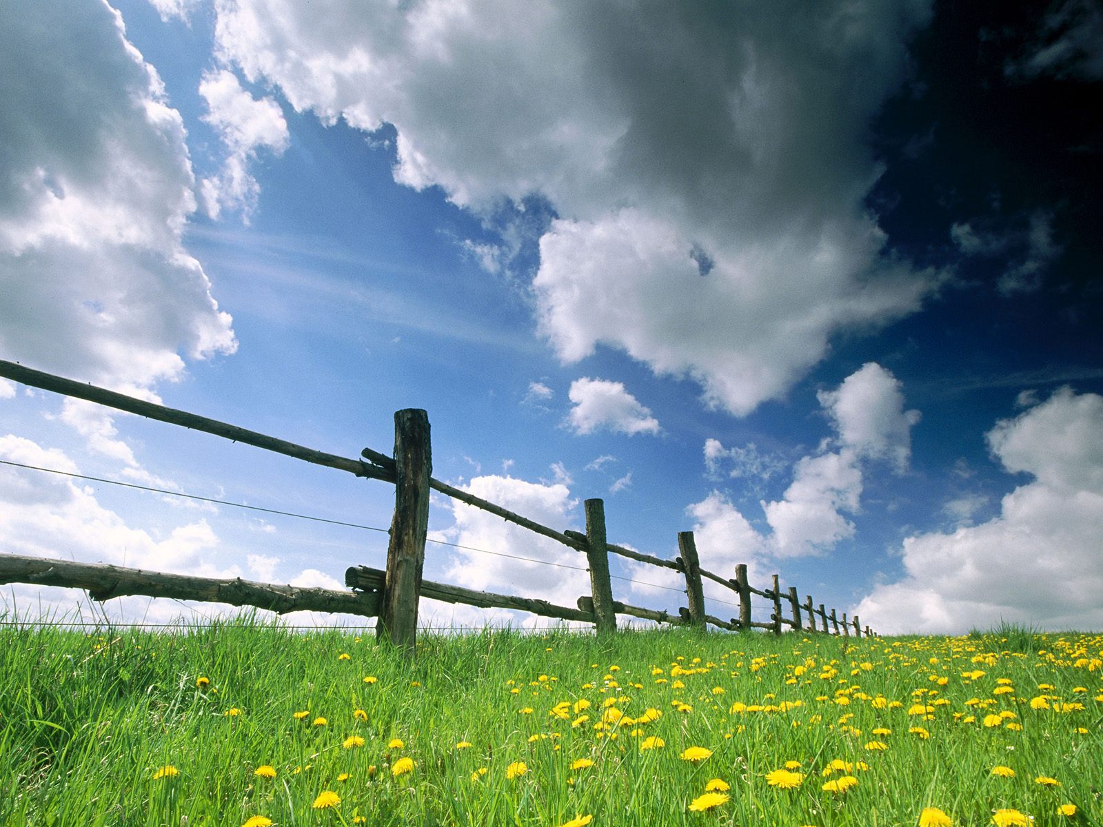 http://1.bp.blogspot.com/-wsUosFtgHKg/UBQYsi7dYiI/AAAAAAAAEV4/FLlKXPYA0CA/s1600/natural+wallpaper-1.jpg