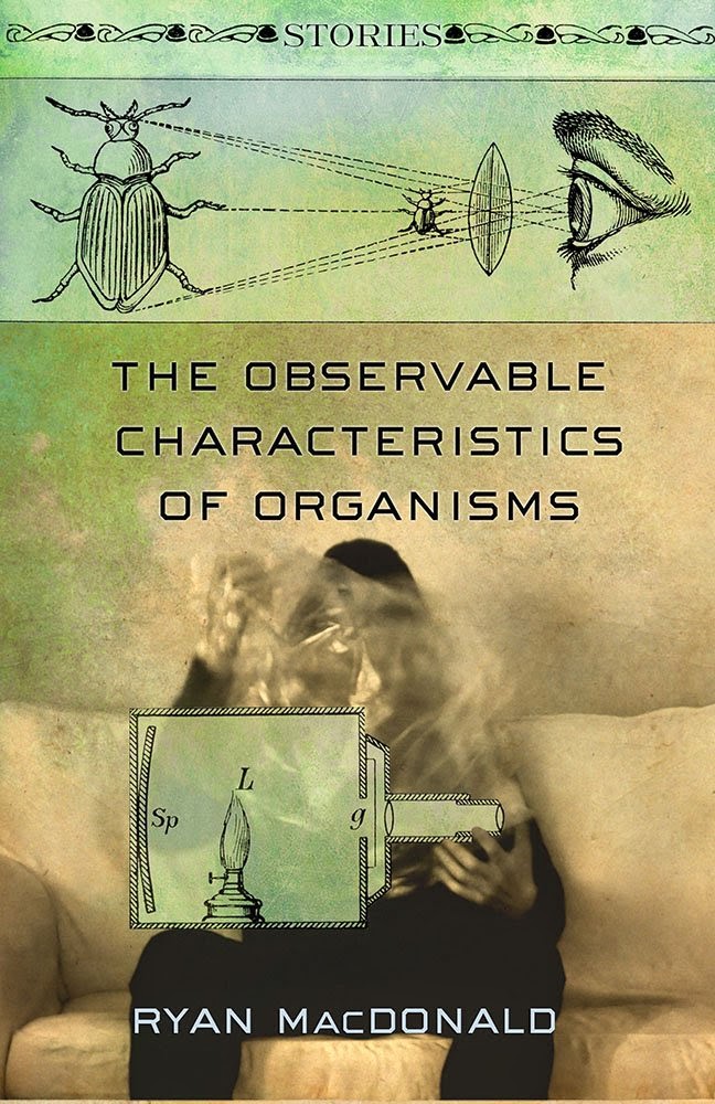 The Observable Characteristics of Organisms