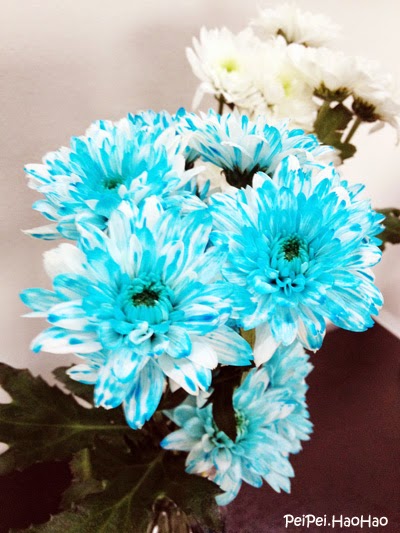 Bootstrap Business Which Flower Plants Are Good For Homes