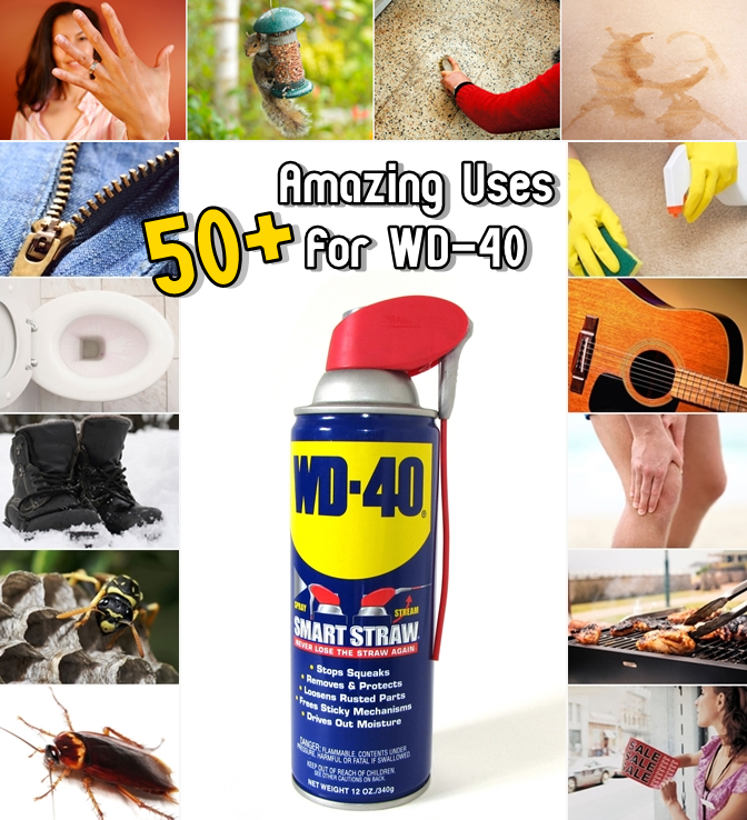 50+ Amazing Uses for WD40 DIY Craft Projects