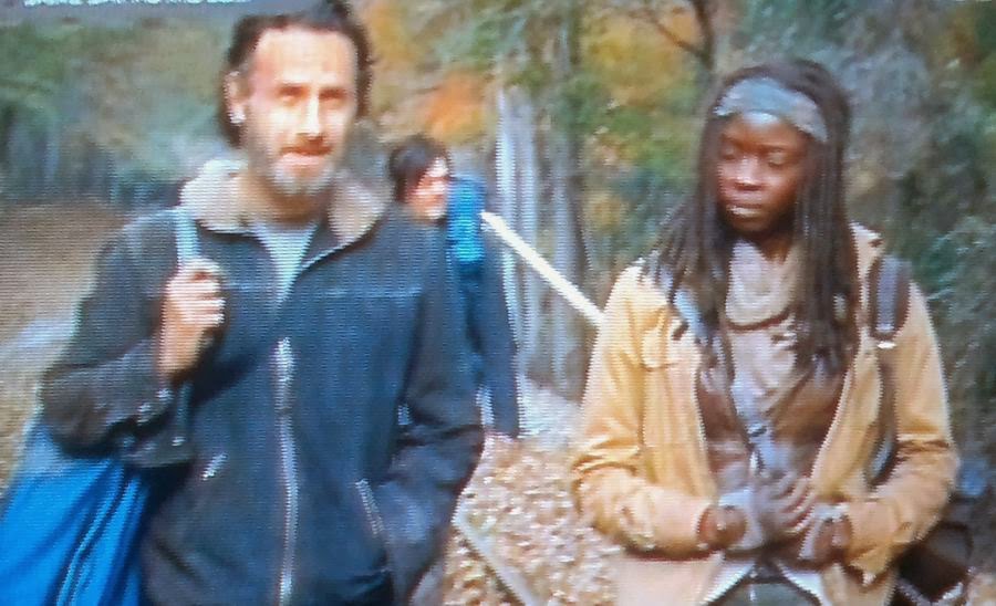 The Walking Dead season 4 finale, Walking Dead season 4, TWD s4e16, TWD finale, Rick Grimes, Daryl, Michonne The Walking Dead season 4 finale, Walking Dead season 4, TWD s4e16, TWD finale, Rick Grimes, Daryl, Michonne