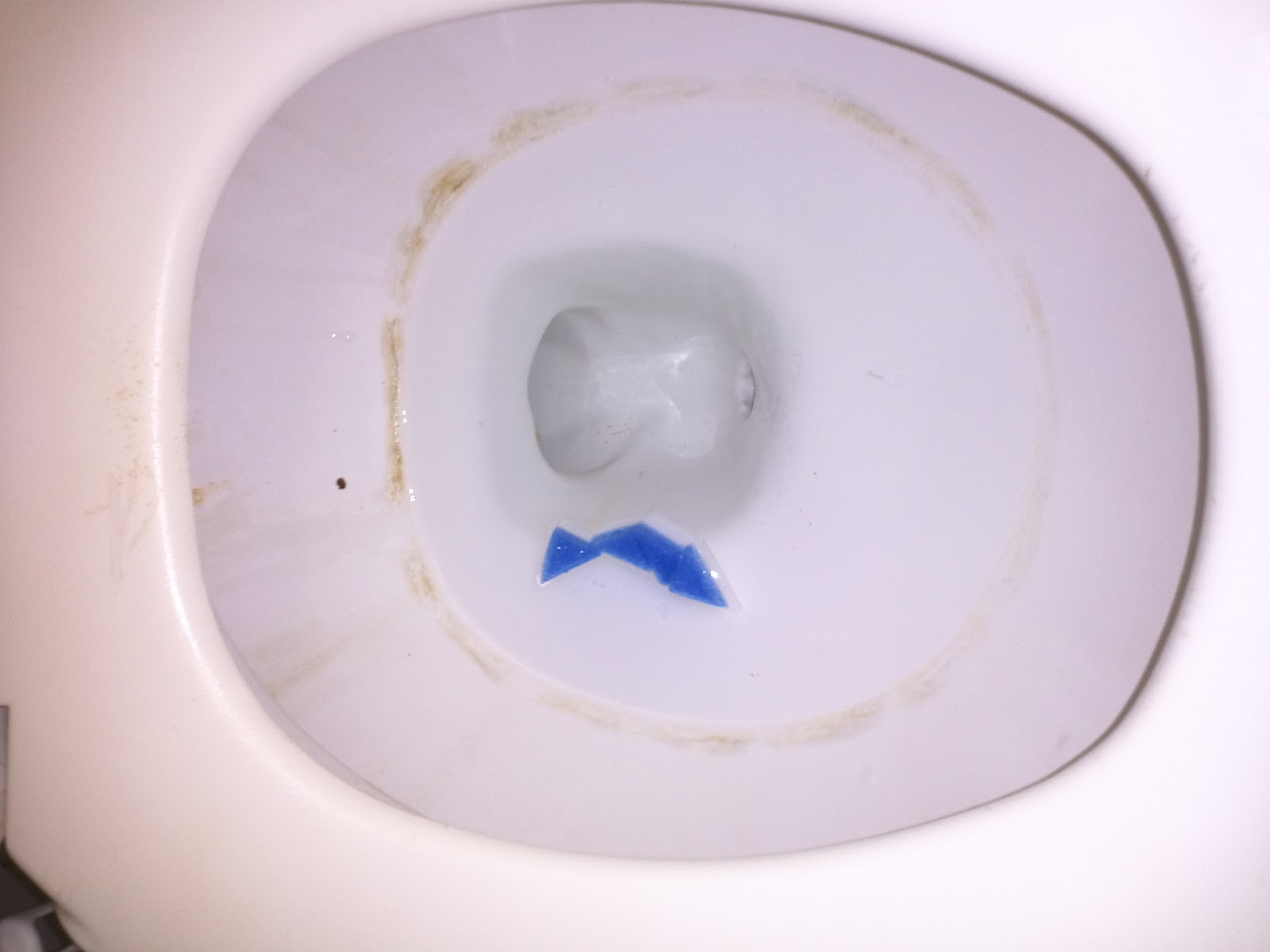 The Classy Punk Pin Test 2 Magic Eraser In Toilet