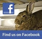 Find us on Facebook