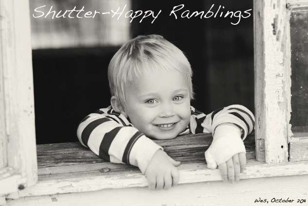 Shutter-Happy Ramblings