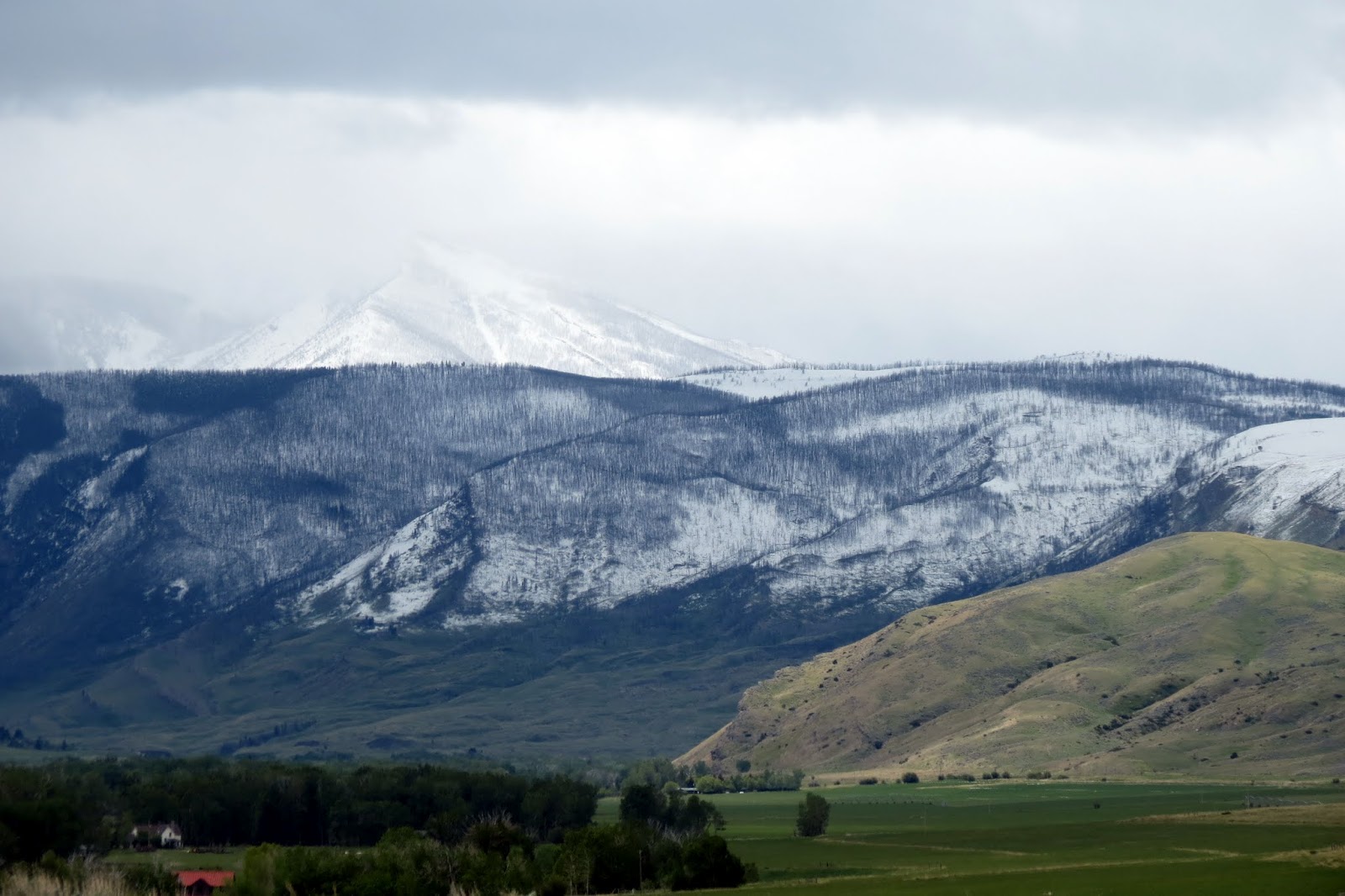 The Egg and I by Birdie South of Big Timber and the Horse Whisperer