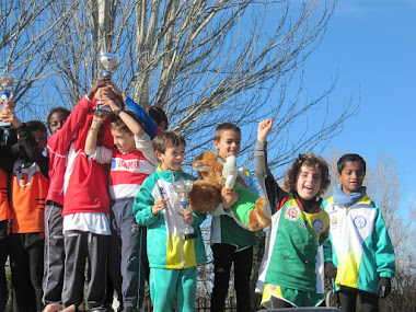 Terceros Cross Comunidad de Madrid 2013