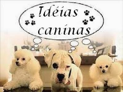 Idéias Caninas