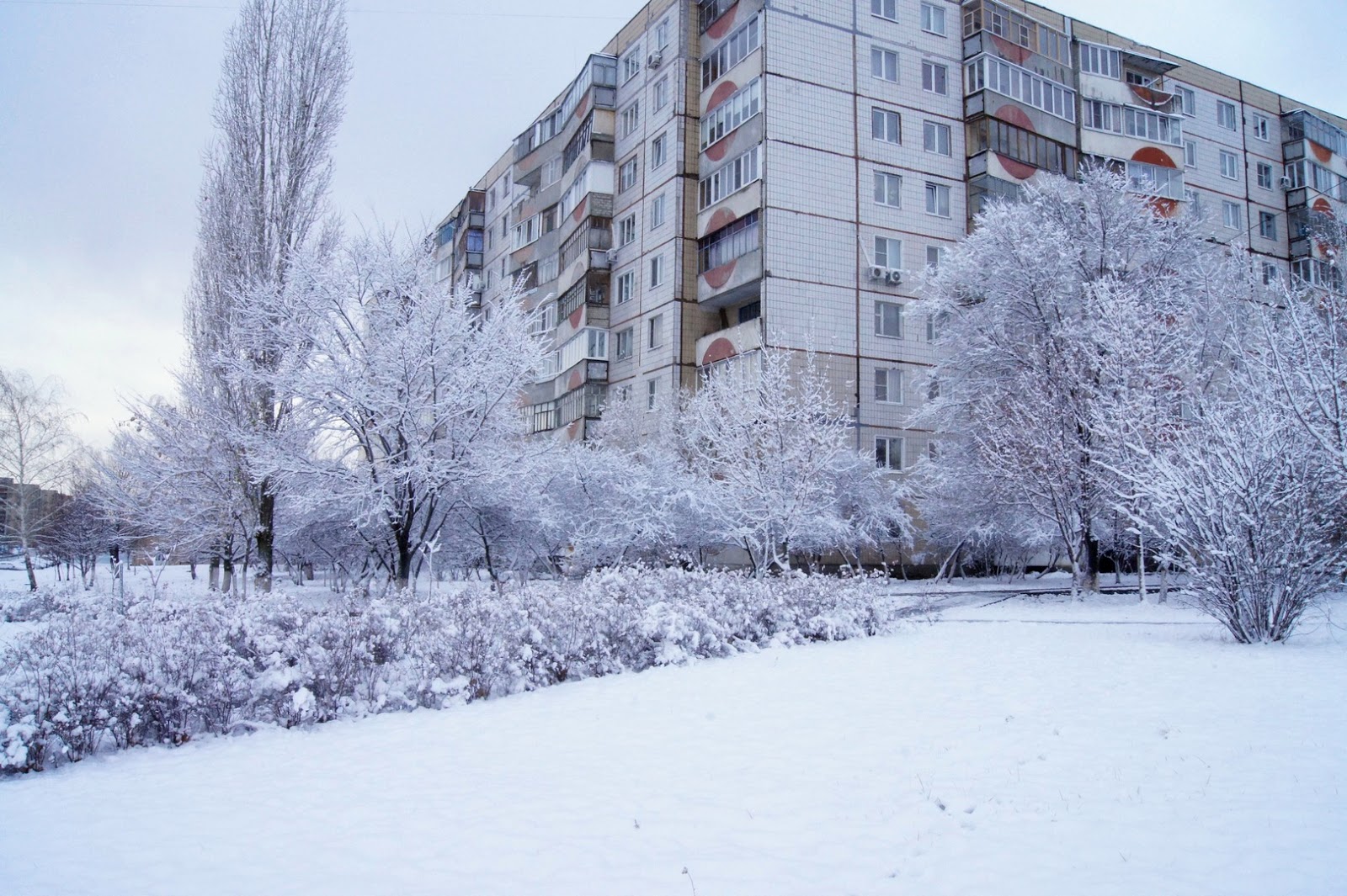 Снежок старый Оскол