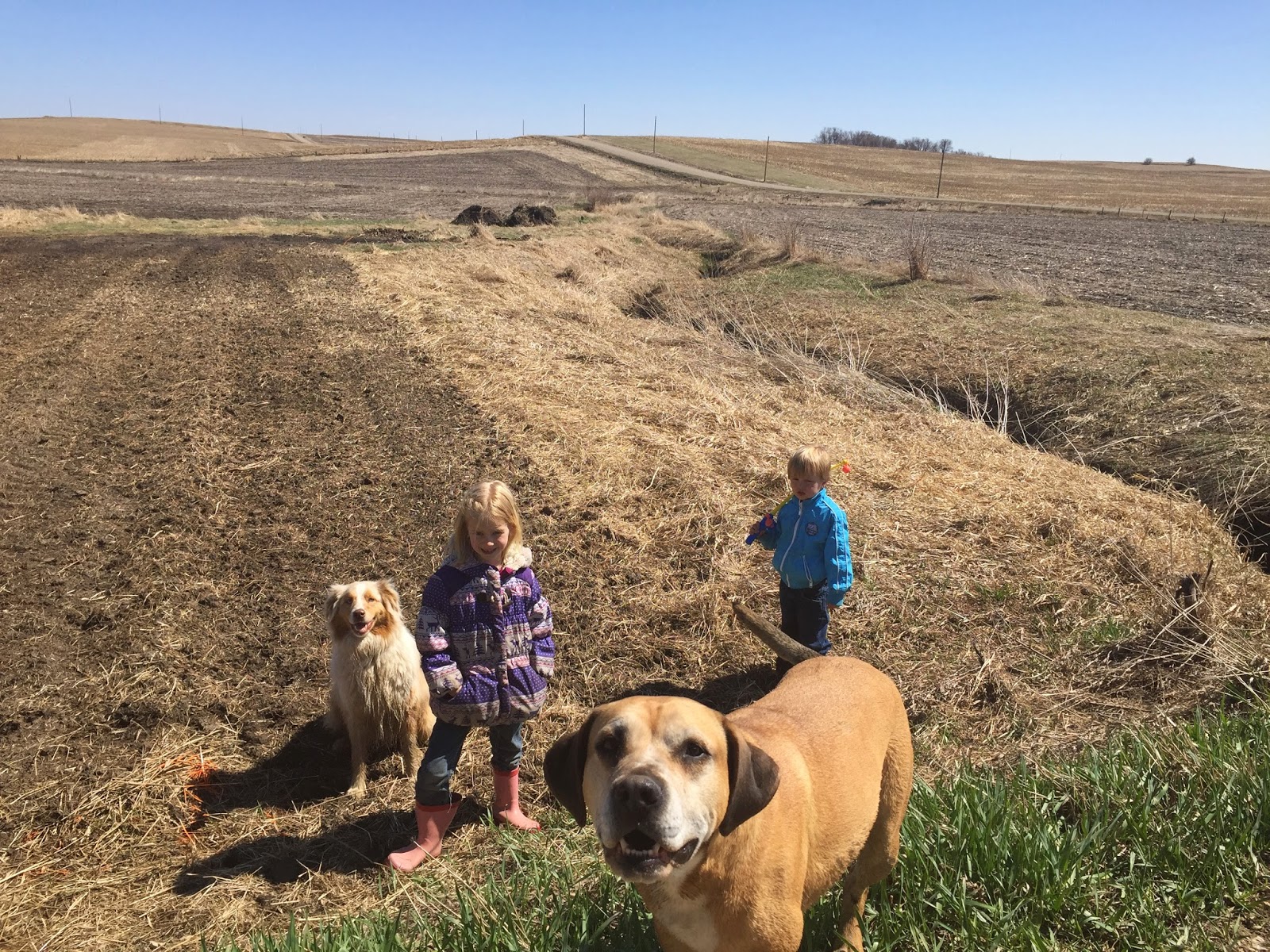 Dennis And Faith Johnson A Dose Garage Sale Day