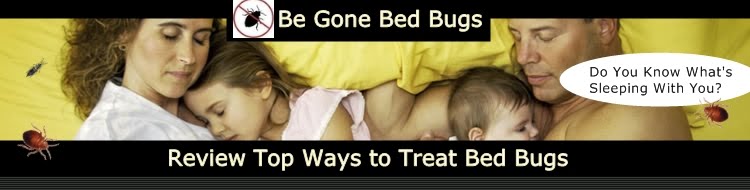 Bed Bugs | What You Need to Know