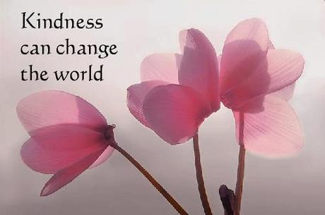 Scatter Kindness Along the Way...