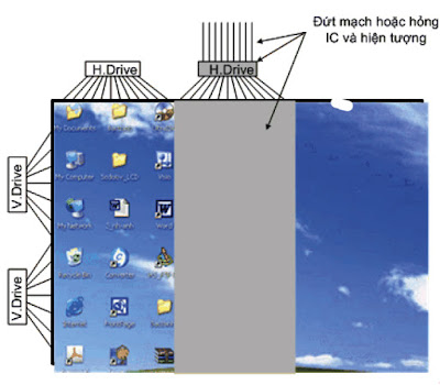 Hình 17 - Hiện tượng của màn hình khi bị hỏng IC- H.Drive hoặc đứt mạch đưa tín hiệu đến IC