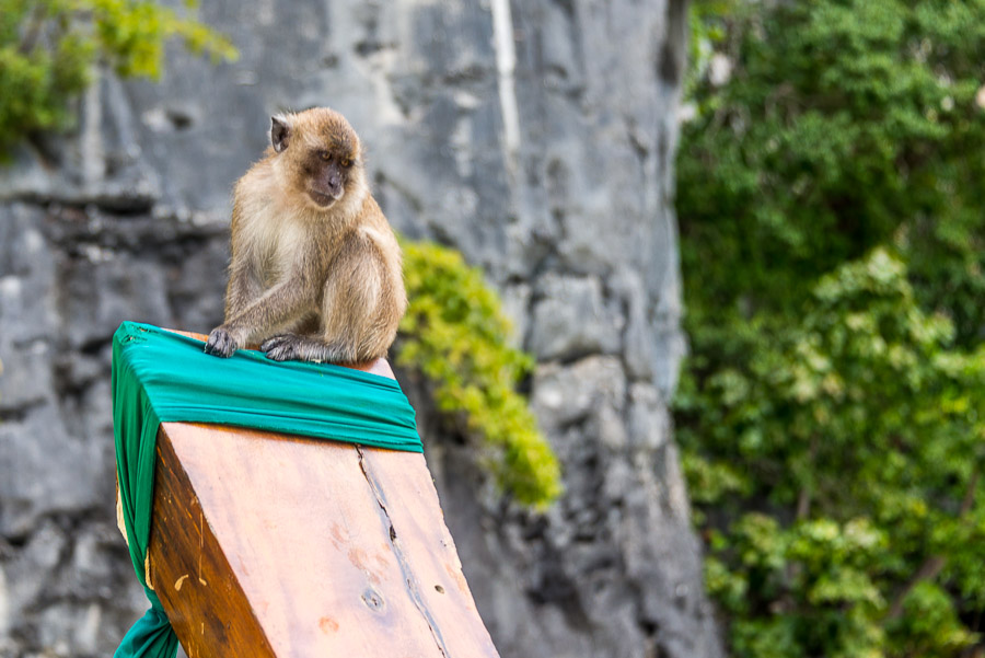Around the island of Phi Phi