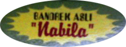 bandrek asli nabila