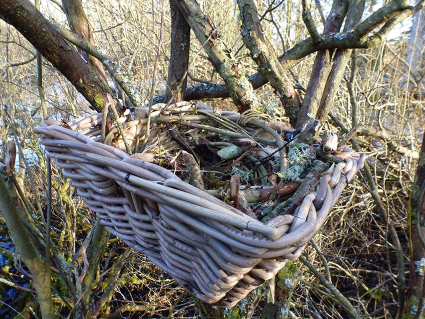 Trees, ropes, boxes and birds! Baskets