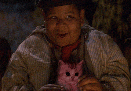 onsdagen den 18:e maj 2011 fat kid gif. onsdagen den 18:e maj 2011