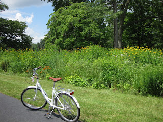 Breezer bicycle on a paved path with tall wildflowers and trees in the background.