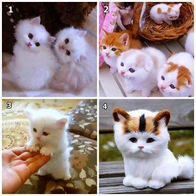 Fb Cover photos 2015 Fb Cover photos 2015