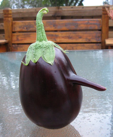 بالصور أغرب 15 شكل للفواكه والخضورات Eggplant+with+a+nose