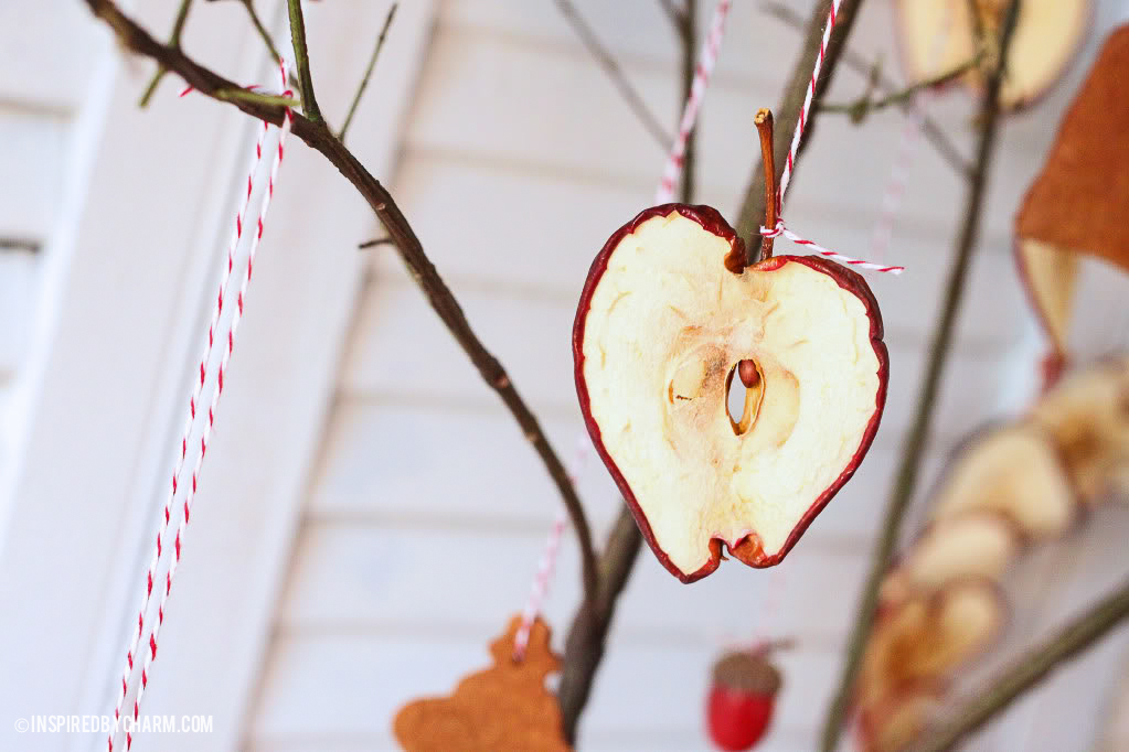 12 Days of Christmas, Day 7 // Dried Apples