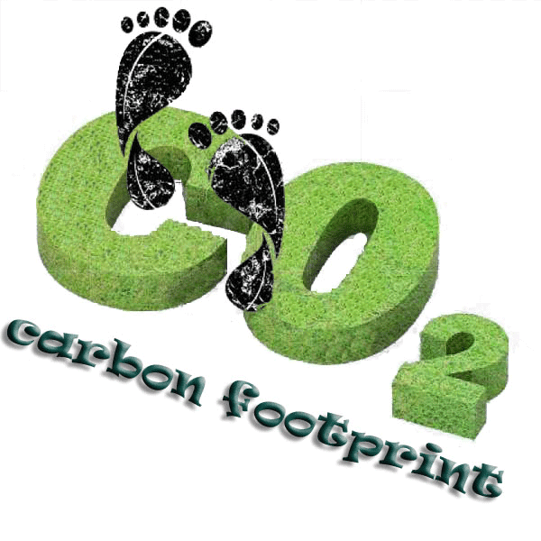 carbon footprint quiz carbon footprint quiz
