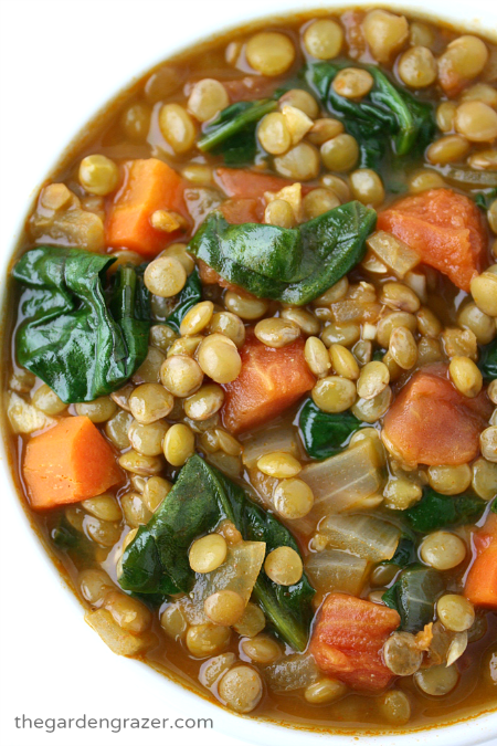 Soup Recipes to Keep You Warm This Winter