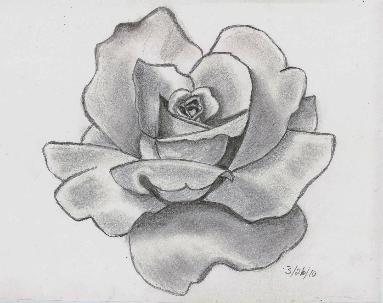 Drawing-Rose-Flower2.jpg