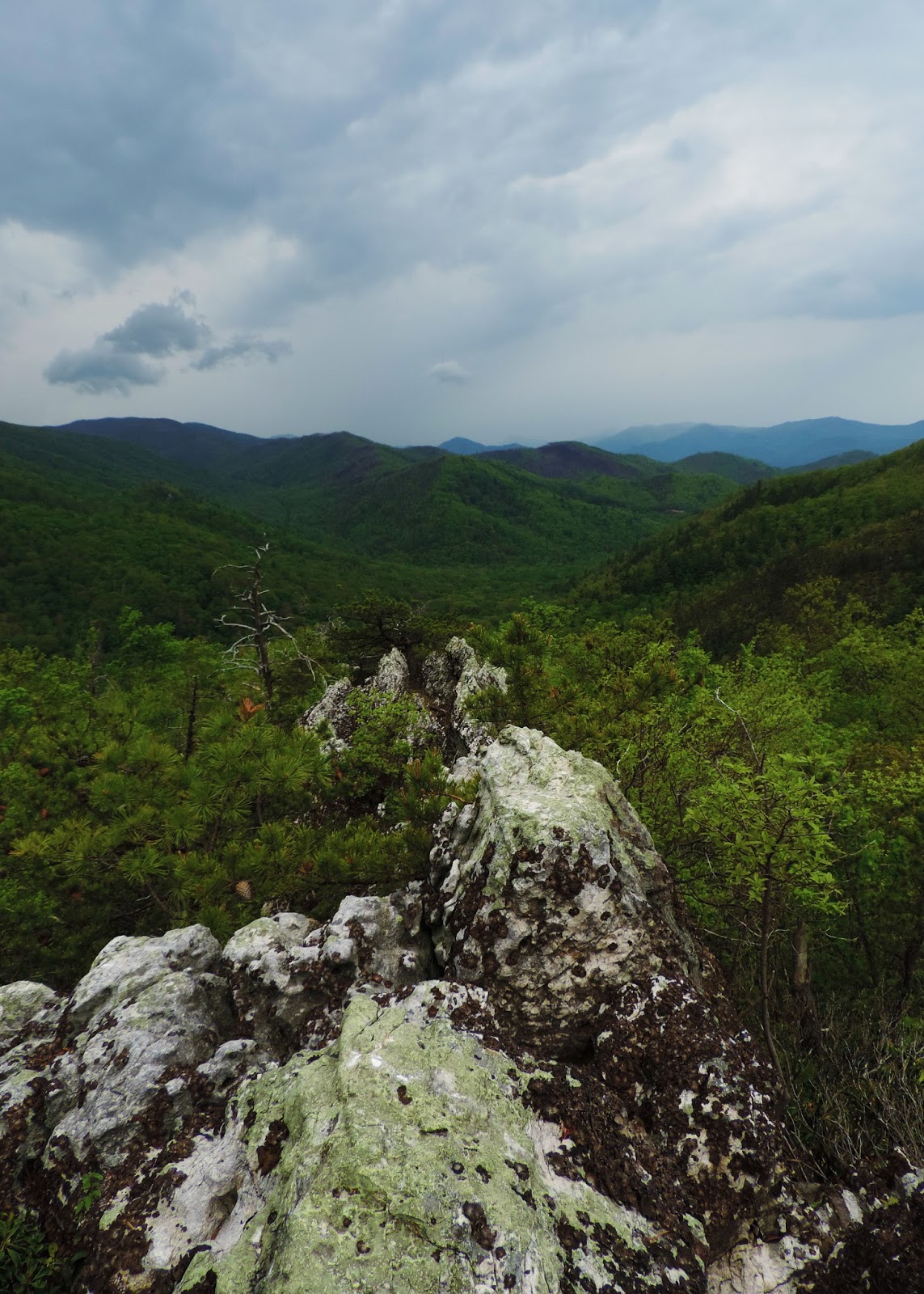 Far Outside the Wire Rattlesnake Ridge, TN
