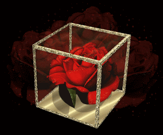 03e5b3d888.gif