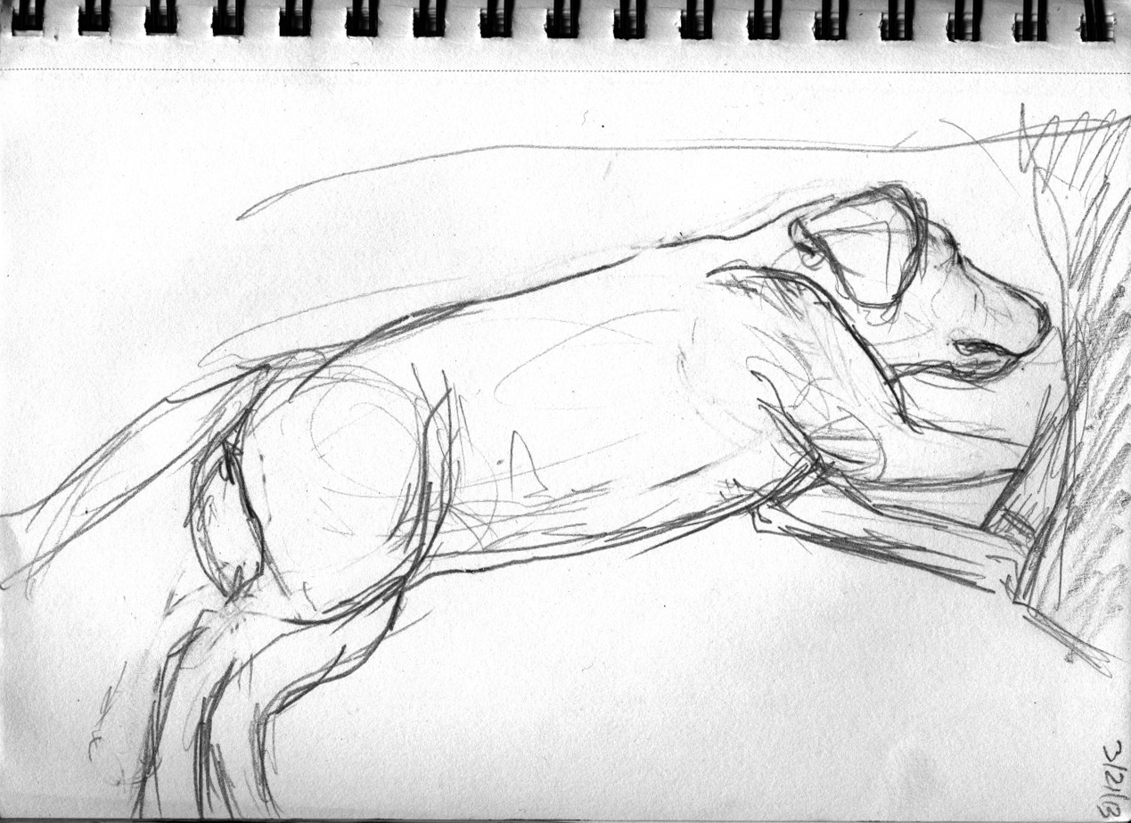 Sketches In steffey mimi the sketches Sketches In steffey mimi the sketches