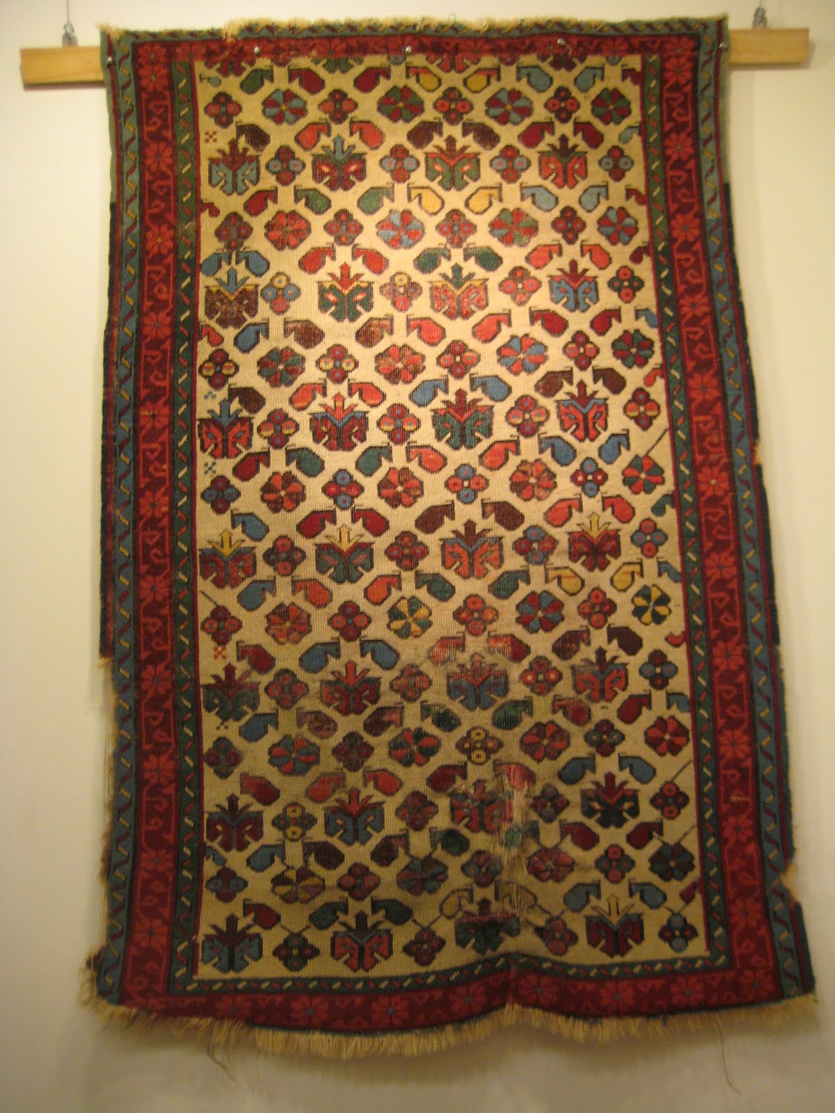 SUJATA'S BLOG: The Kilim Fields