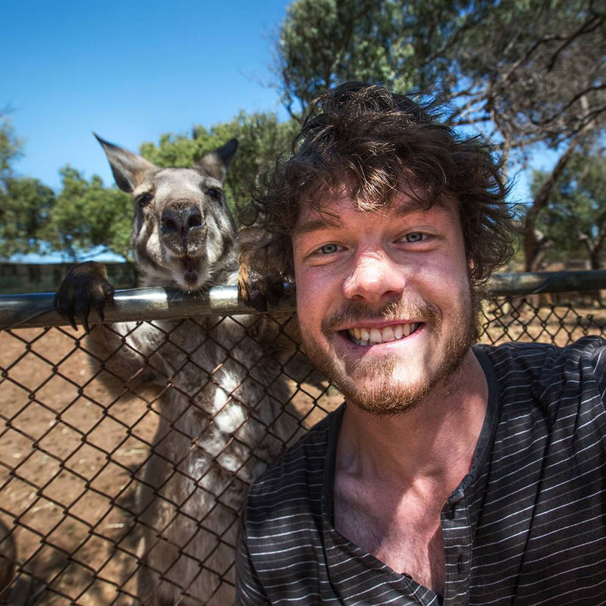 This Man Mastered The Art Of Animal Selfies! One With Parrot Is Priceless! This Man Mastered The Art Of Animal Selfies! One With Parrot Is Priceless!