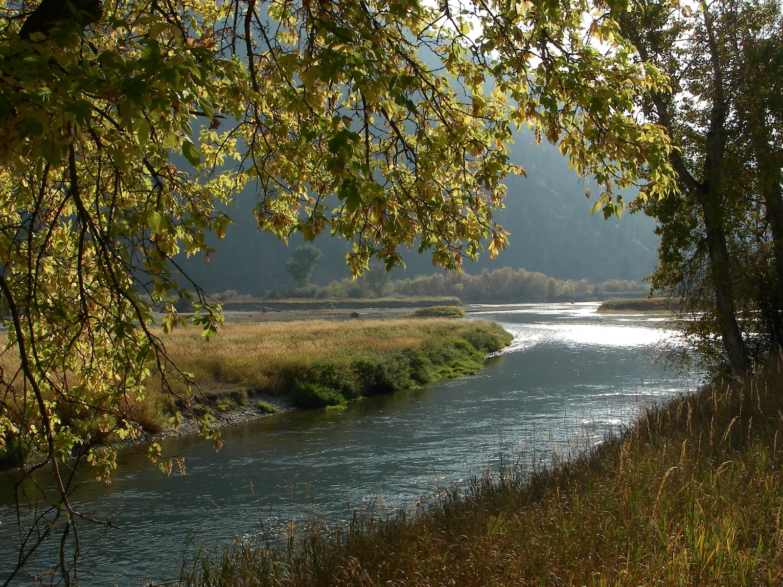 Veggie Voyagers North Fork Salmon River