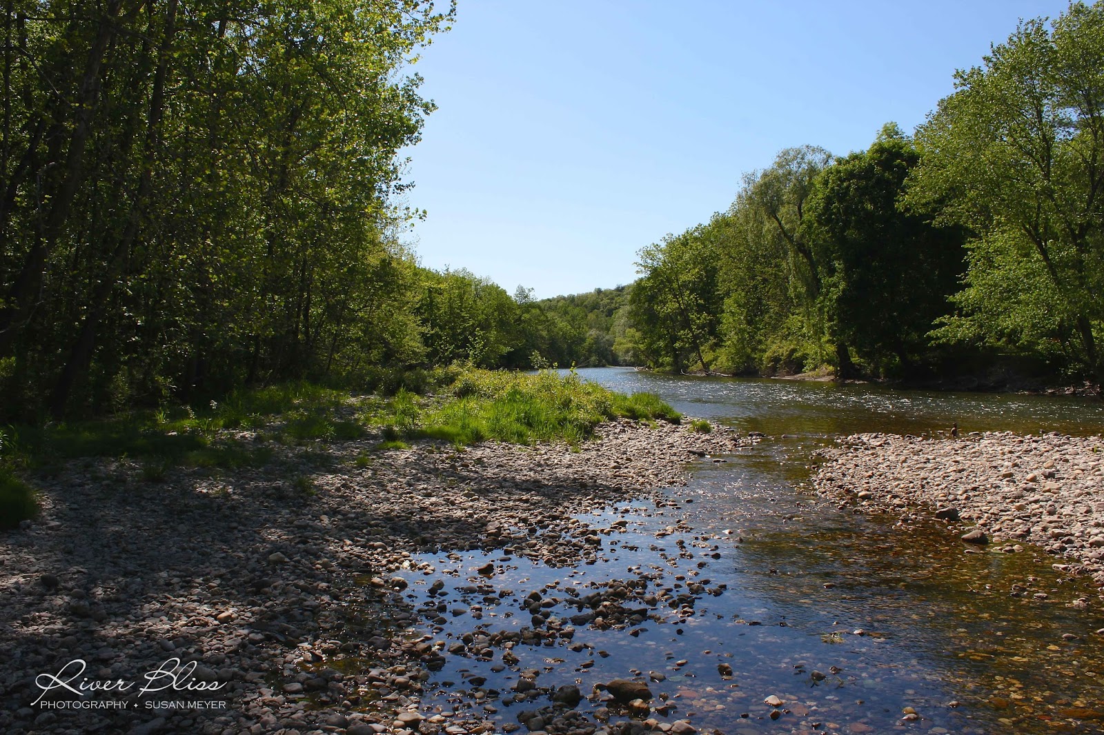 River Bliss