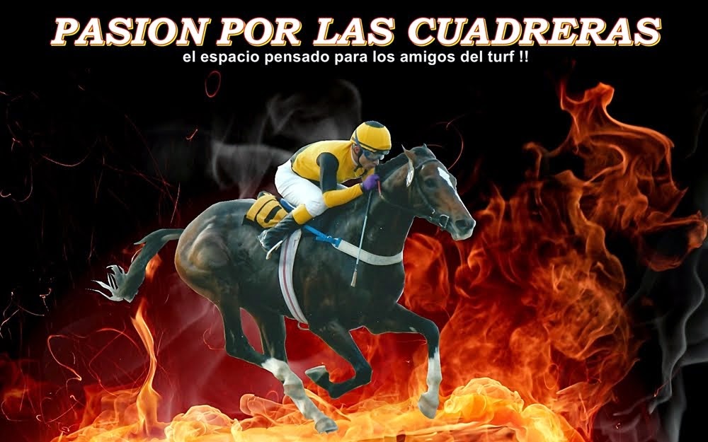 PASION POR LAS CUADRERAS