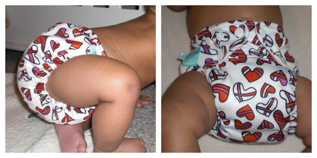 Charlie Banana® 2-in-1 Reusable One Size diapering system Review