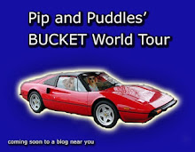 Pip and Puddles Bucket Tour