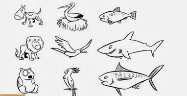 Producciones Pedagogicas Los Animales