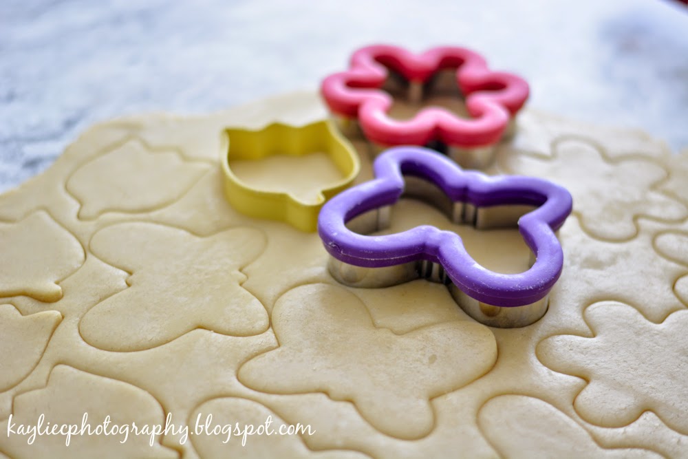 Kaylie Photography High Altitude Sugar Cookies
