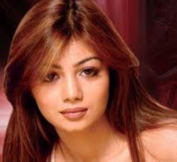 Entertainment and Photo Gallery of Ayesha Takia Azmi Bollywood Actress and model