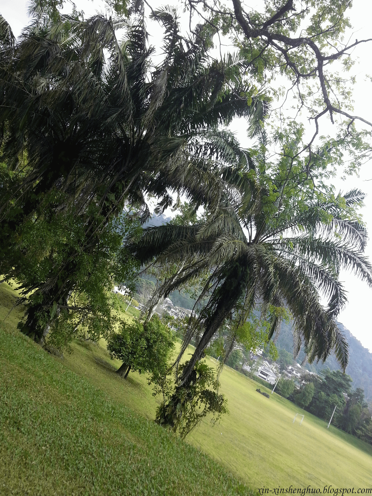 Taiping Lake Garden
