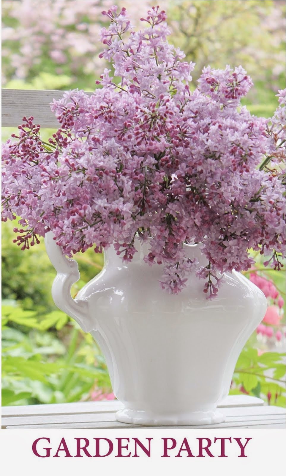 Fishtail Cottage Fishtail Cottage’s Garden 7/28/14…