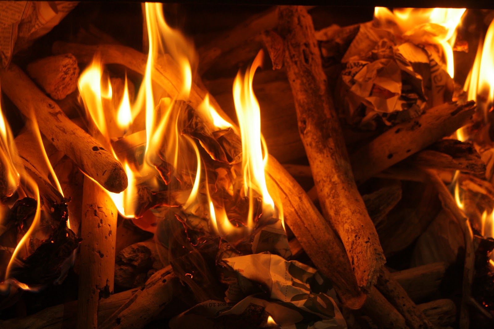 South Sea Island Home A Driftwood Fire