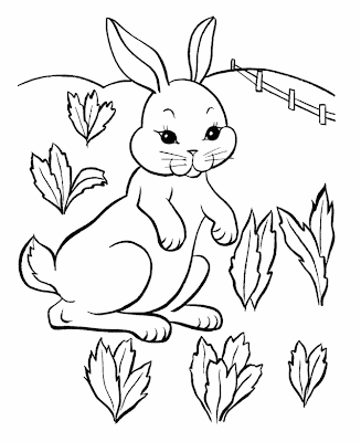 Easter Bunny Coloring Pages Printable