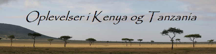Oplevelser i Kenya og Tanzania