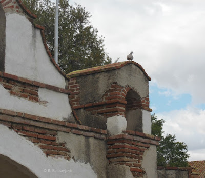 Bird Perched on Arch at Mission San Miguel, © B. Radisavljevic